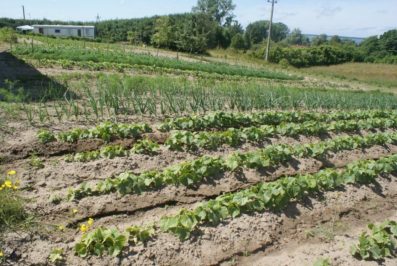 Agrodomki Okej -Dom Kasjan Gardna Wielka Ngoại thất bức ảnh