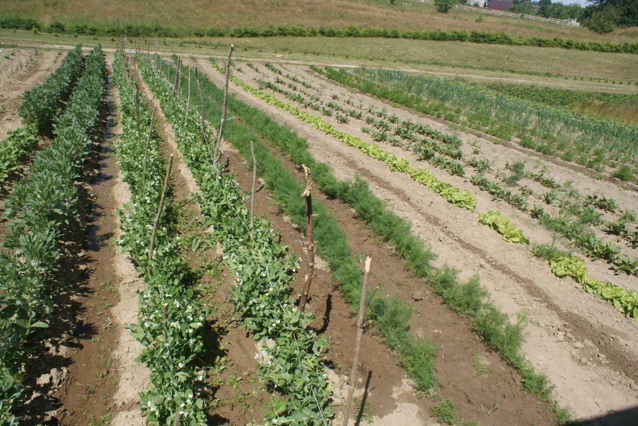 Agrodomki Okej -Dom Kasjan Gardna Wielka Ngoại thất bức ảnh